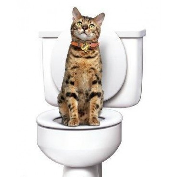 Набір для привчання кішки до унітазу (котячий туалет) CitiKitty Сіті Кіті - Зображення 4