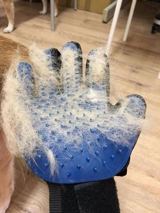 Рукавичка для вичісування вовни True Touch, Тру Тач, Pet Glove - Зображення 2