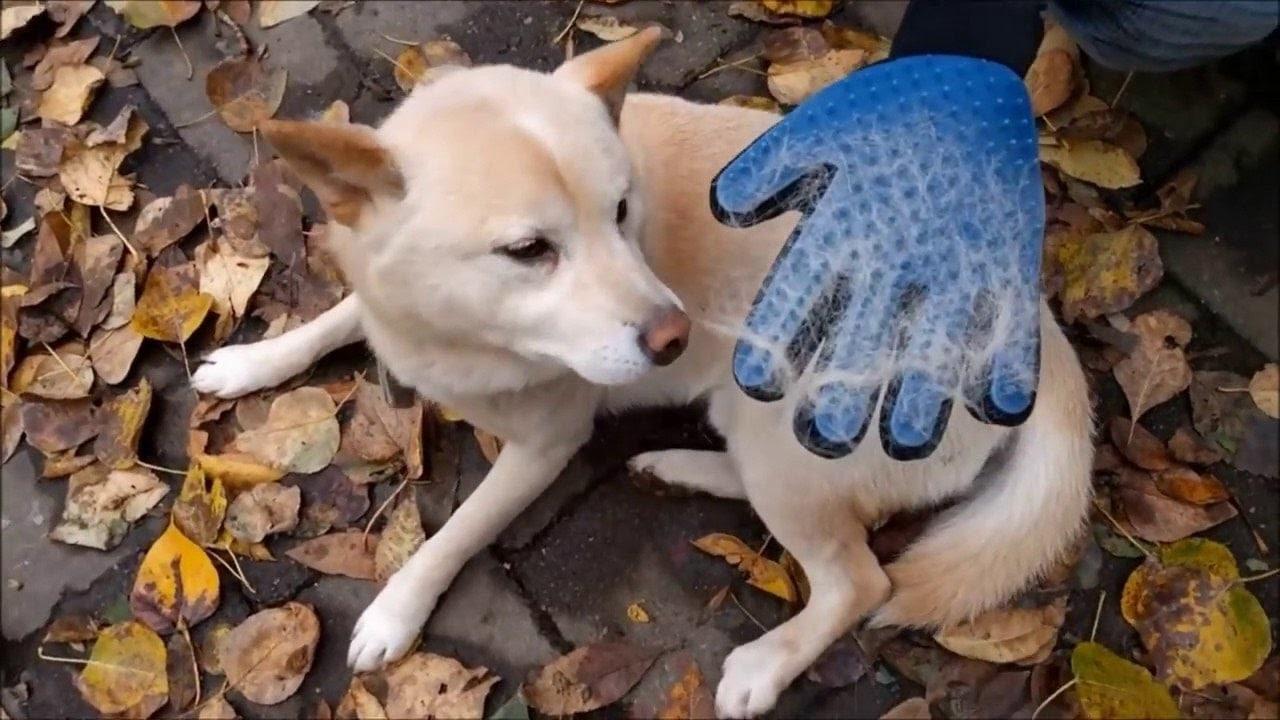 Рукавичка для вичісування вовни True Touch, Тру Тач, Pet Glove - Зображення 7