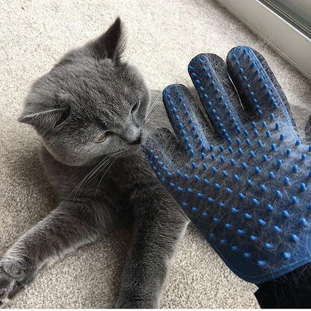 Рукавичка для вичісування вовни True Touch, Тру Тач, Pet Glove - Зображення 8