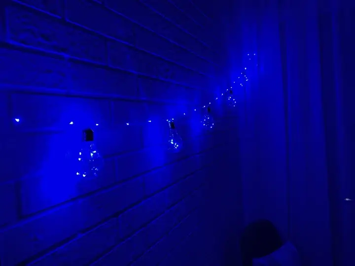 Гірлянда RD-9009 Лампа Едісона 75LED 2,5 м Колір LED-Синій 220v - Зображення 3
